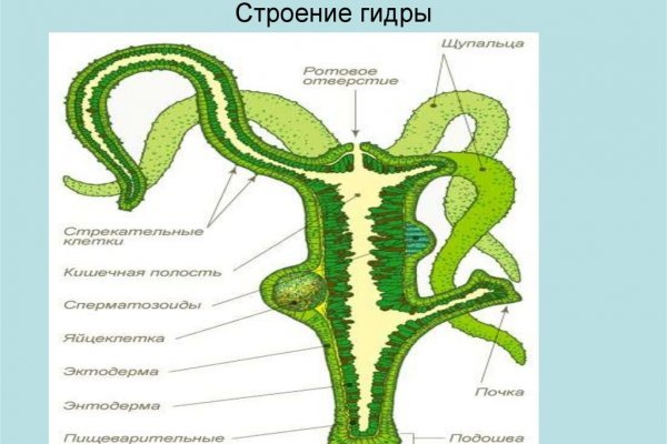 Сайт омг ссылка рабочая